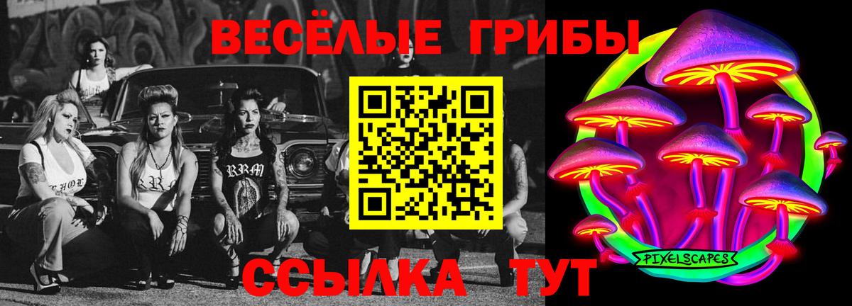 Галлюциногенные грибы MAGIC MUSHROOMS  Вход с VPN  Галлюциногенные грибы прущие грибы  Раменское 
